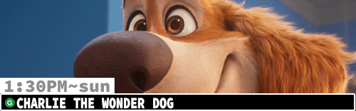 Charlie the Wonder Dog Sun 1:30 pm