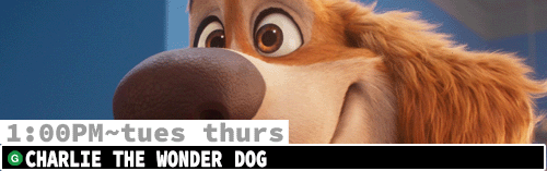 Charlie the Wonder Dog Fri Sun Tues Thurs 1:00 pm