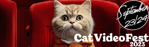 Cat Videofest 2023 Coming Soon